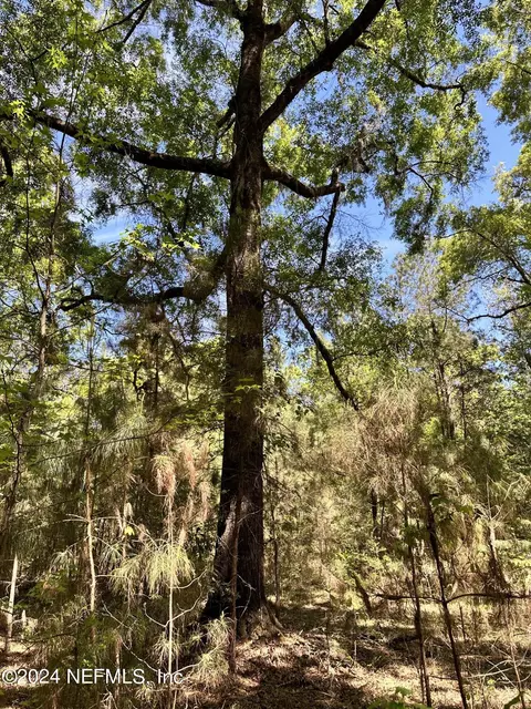 36684 Dyal Rd, Callahan, FL 32011