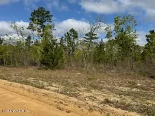 311 Violet Ave, Interlachen, FL 32148