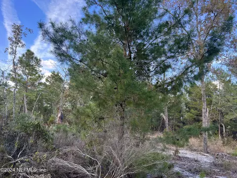 124 Tennessee Dr, Hawthorne, FL 32640