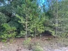 126 Tennessee Dr, Hawthorne, FL 32640