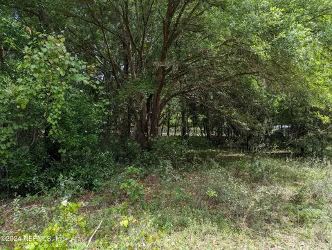 102 Smokey Ave, Interlachen, FL 32148