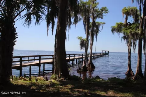 121 Laisy Dr, Georgetown, FL 32139