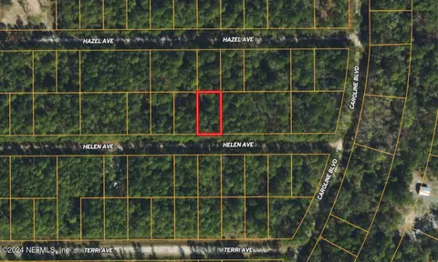 234 Helen Ave, Georgetown, FL 32139