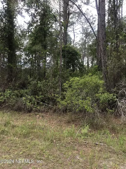 105 Needles Ln, Georgetown, FL 32139