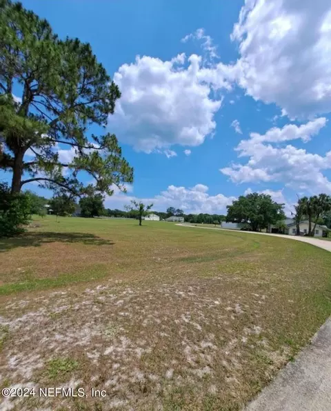 110 Eagles Nest Ln, Crescent City, FL 32112
