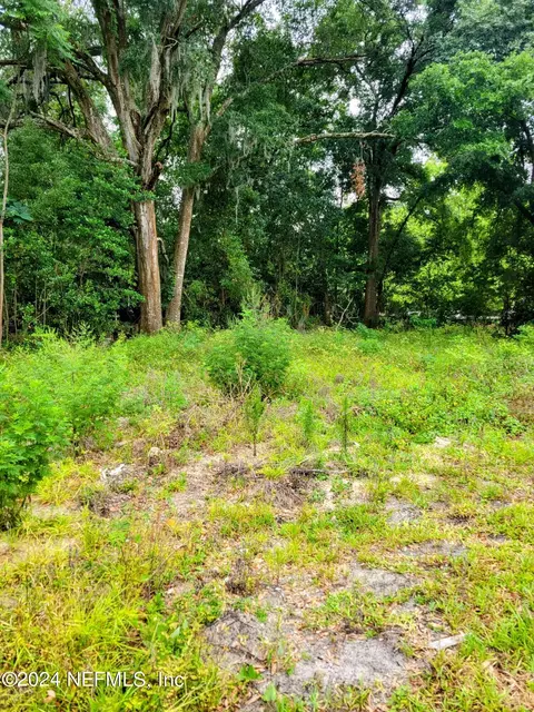 1302 Cleveland Ave, Palatka, FL 32177