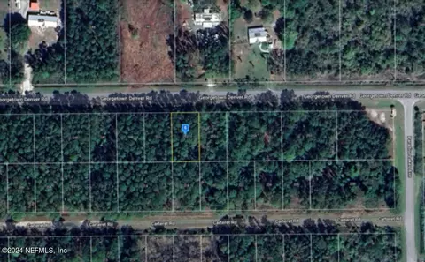 253 Georgetown Denver Rd, Georgetown, FL 32139
