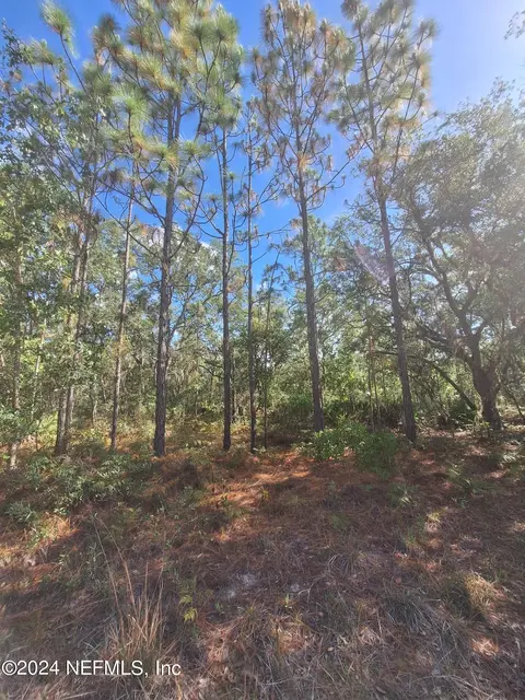 lot17 18 Hurley St, Interlachen, FL 32148