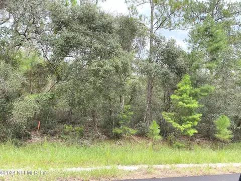 118 Spanish Trl, Georgetown, FL 32139 photo 6
