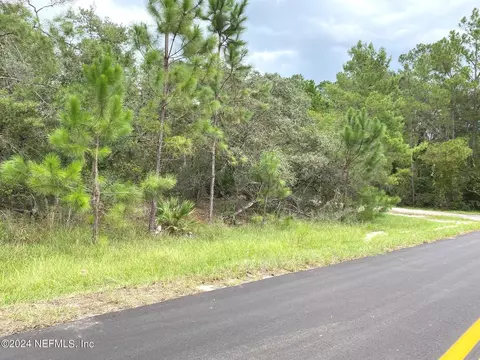 118 Spanish Trl, Georgetown, FL 32139 photo 5