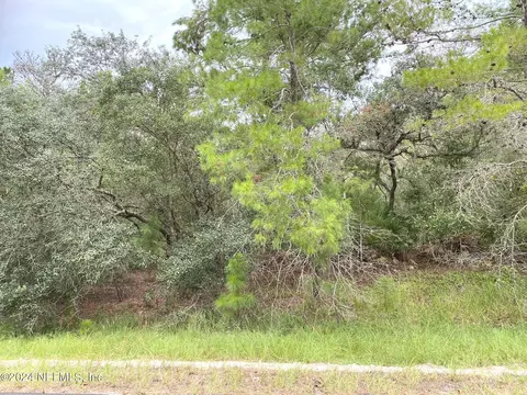 118 Spanish Trl, Georgetown, FL 32139 photo 4