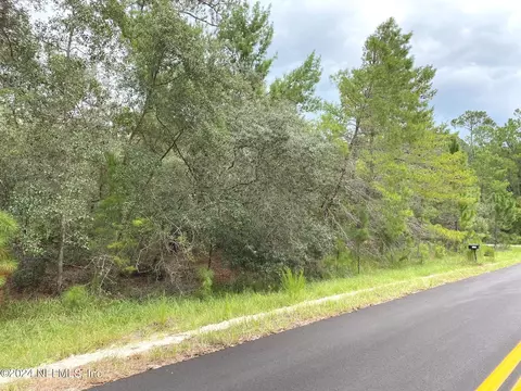 118 Spanish Trl, Georgetown, FL 32139 photo 3