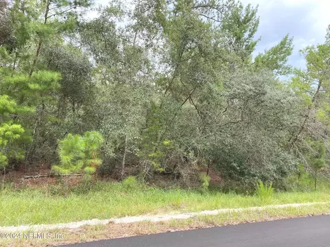118 Spanish Trl, Georgetown, FL 32139 photo 2