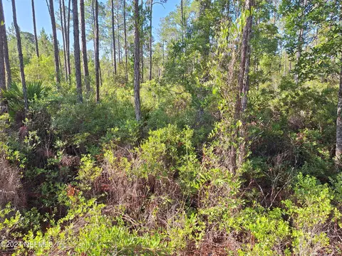 123 E Marion St, Palatka, FL 32177 photo 1