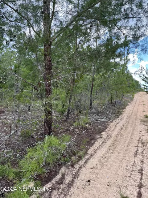 149 Jefferson St, Hawthorne, FL 32640