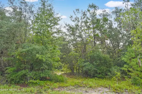 132 Kennedy Ave, Interlachen, FL 32148 photo 5