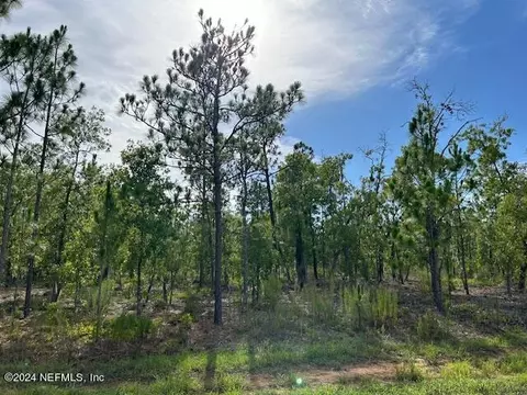 000 Doe Trl, Hawthorne, FL 32640