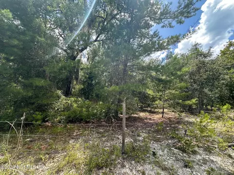 000 Beulah Church Rd, Welaka, FL 32193