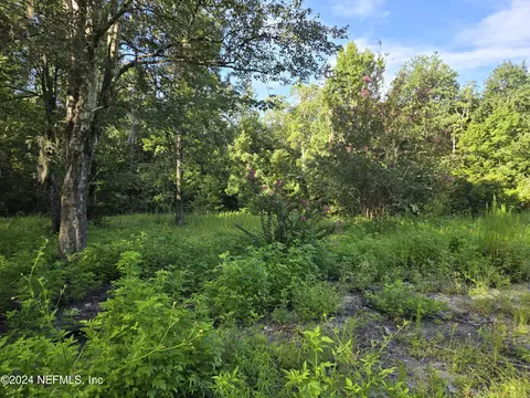 4868 Mcallister Rd, Middleburg, FL 32068