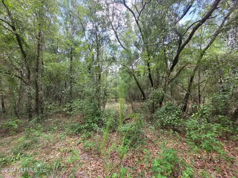0 Papaya St, Pomona Park, FL 32181