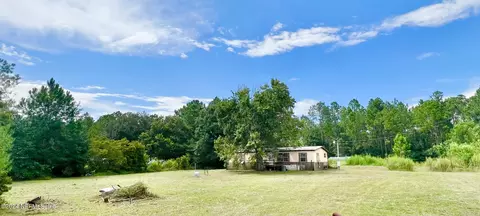 4854 Dandelion St, Middleburg, FL 32068