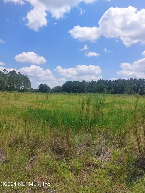 0 Carter Spencer Rd, Middleburg, FL 32068
