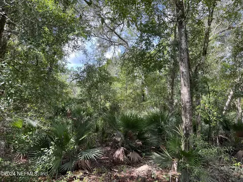 252 Brewster St, Satsuma, FL 32189