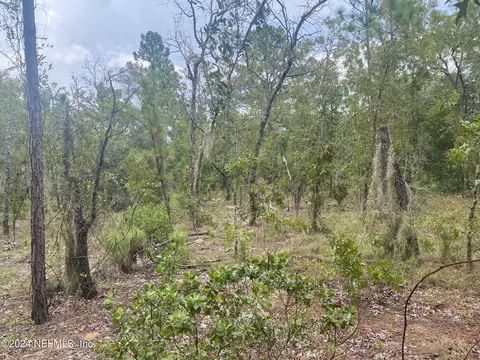 414 Rose Trl, Interlachen, FL 32148
