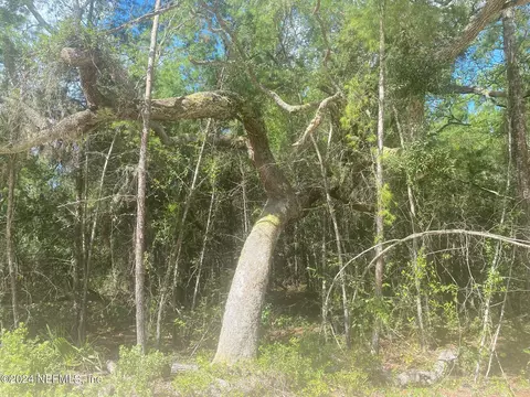 tbd Robin Rd, Palatka, FL 32177