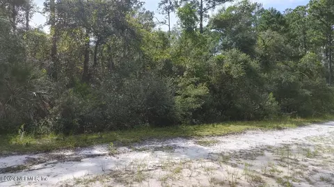 209 Ocala Ct, Georgetown, FL 32139