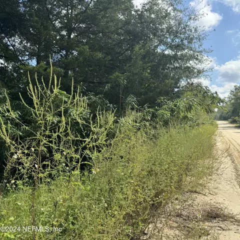226 5th Way, Interlachen, FL 32148 photo 1