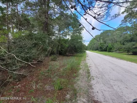 221 Ponderosa Pine Ct, Georgetown, FL 32139
