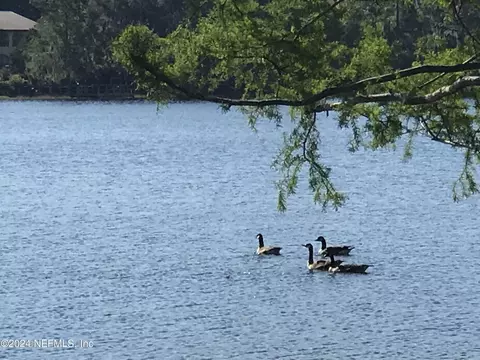 Nn Simpson Drive, Interlachen, FL 32148