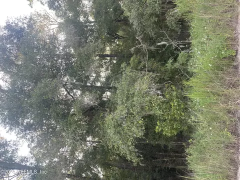 0 W Washington St, Hawthorne, FL 32640