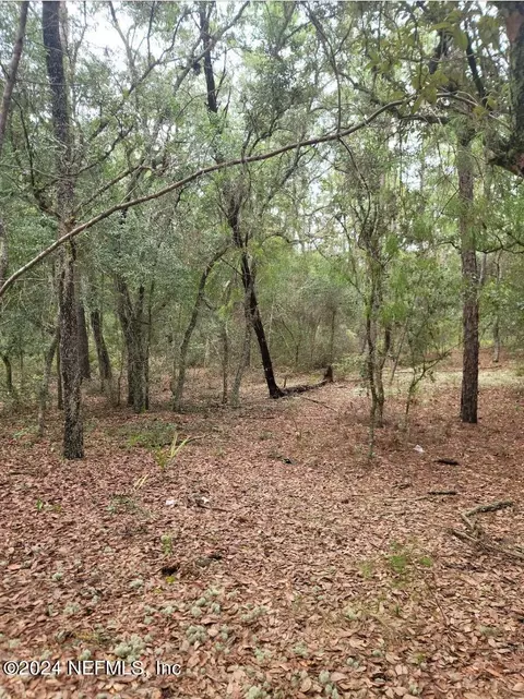 109 Arkansas St, Satsuma, FL 32189