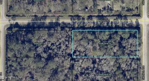 10305 Nikolich Ave, Hastings, FL 32145