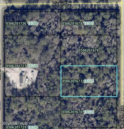 10325 Nikolich Ave, Hastings, FL 32145