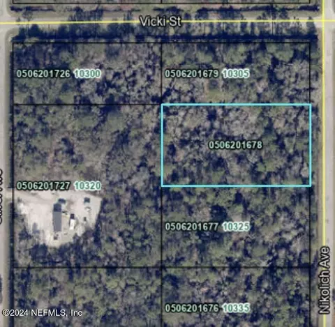 10315 Nikolich Ave, Hastings, FL 32145