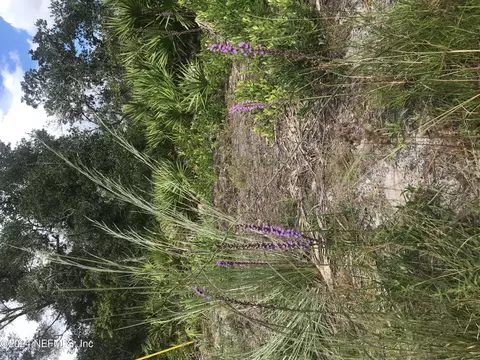 0 Summit Rd, Satsuma, FL 32189
