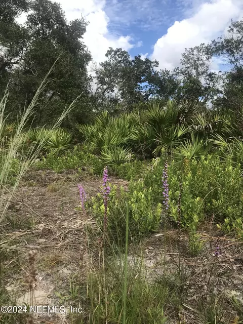 0 Summit Rd, Satsuma, FL 32189 photo 4