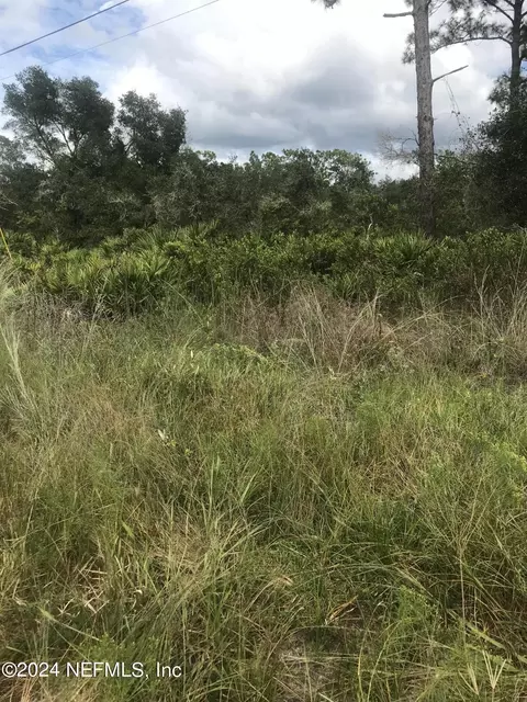 0 Summit Rd, Satsuma, FL 32189 photo 3