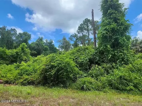 408 Birch Blvd, Georgetown, FL 32139