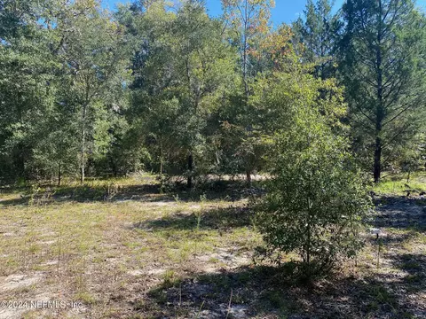 Nnn Fowler Street, Interlachen, FL 32148