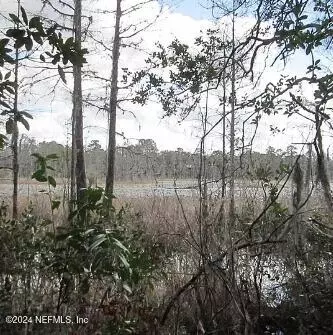 000 NE 114th Ave, Fort Mc Coy, FL 32134