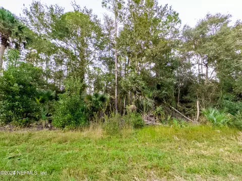 113 Laisy Dr, Georgetown, FL 32139