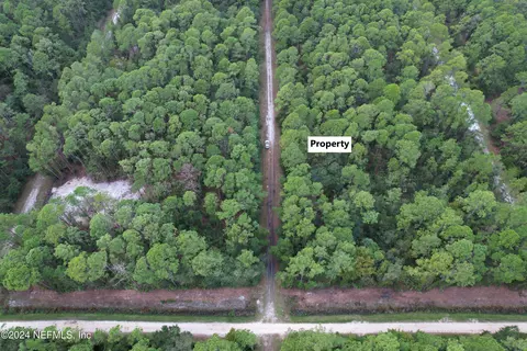 136 Helen Ave, Georgetown, FL 32139 photo 3