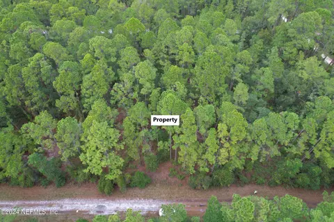 136 Helen Ave, Georgetown, FL 32139 photo 2