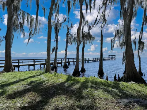 136 Helen Ave, Georgetown, FL 32139 photo 23