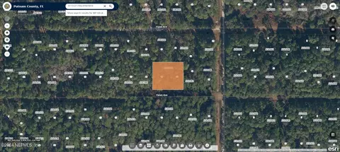 136 Helen Ave, Georgetown, FL 32139 photo 8
