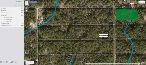 136 Helen Ave, Georgetown, FL 32139 photo 13